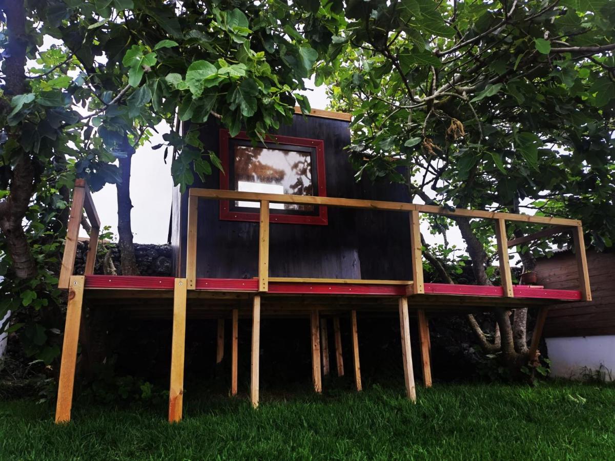 Azores Cow House Calhetas المظهر الخارجي الصورة