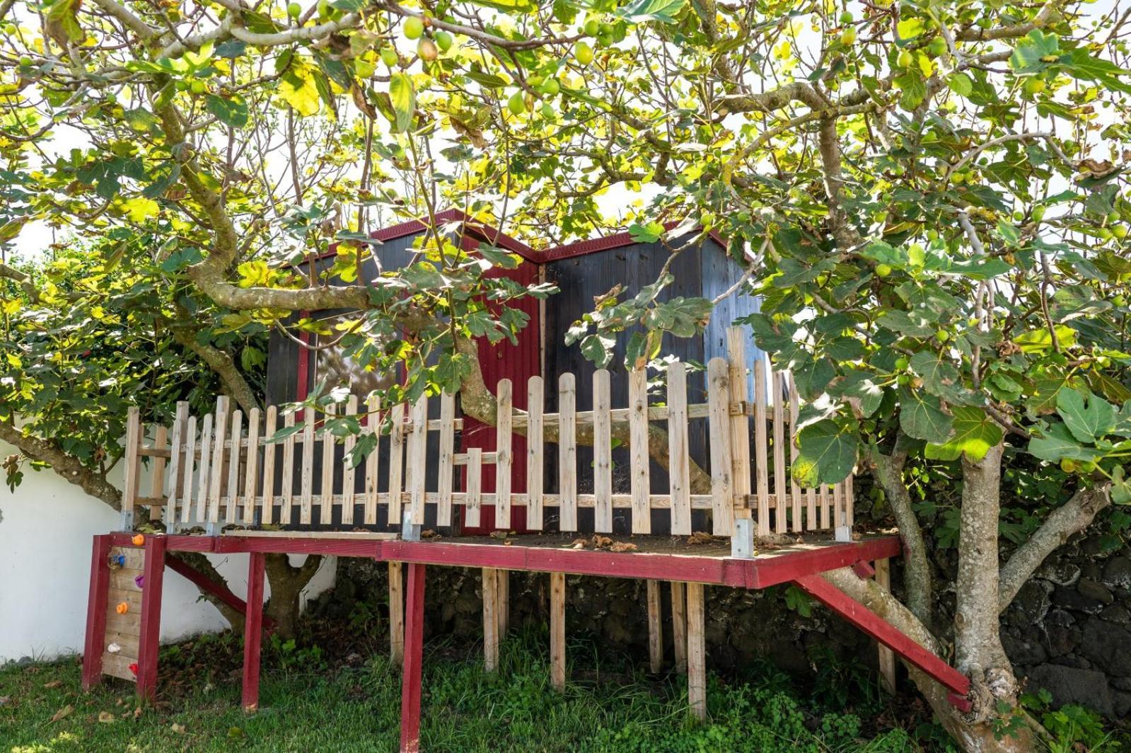 Azores Cow House Calhetas المظهر الخارجي الصورة